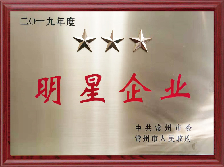 Star Enterprise of the Year 2019
