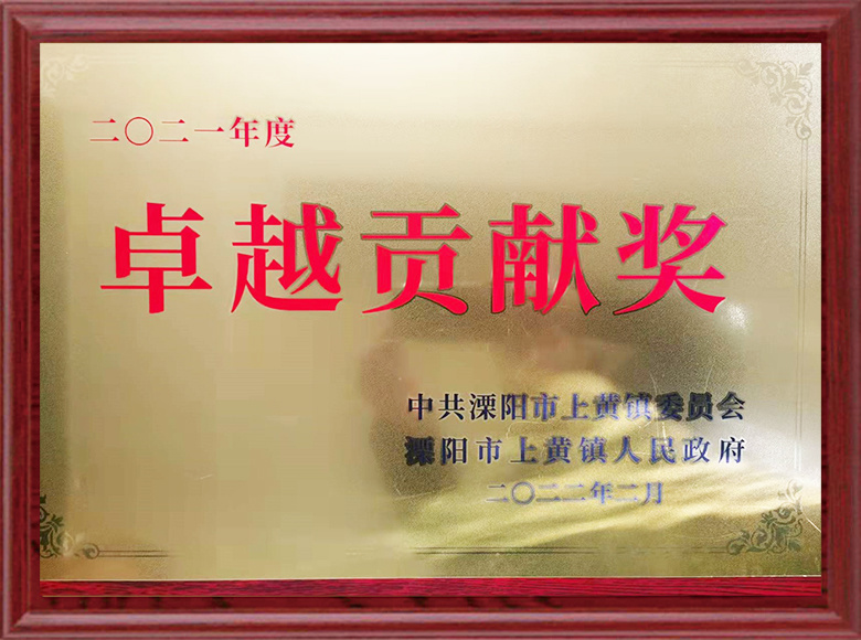 2020 Excellence in Contribution Award